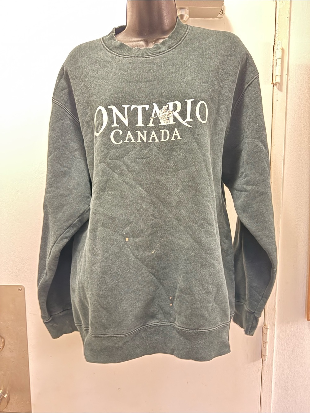 Vtg Fruit of the Loom 80s 90sOntario Canada Crewneck Sweatshirt